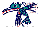 logo drumbird mbg.jpg